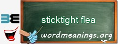 WordMeaning blackboard for sticktight flea